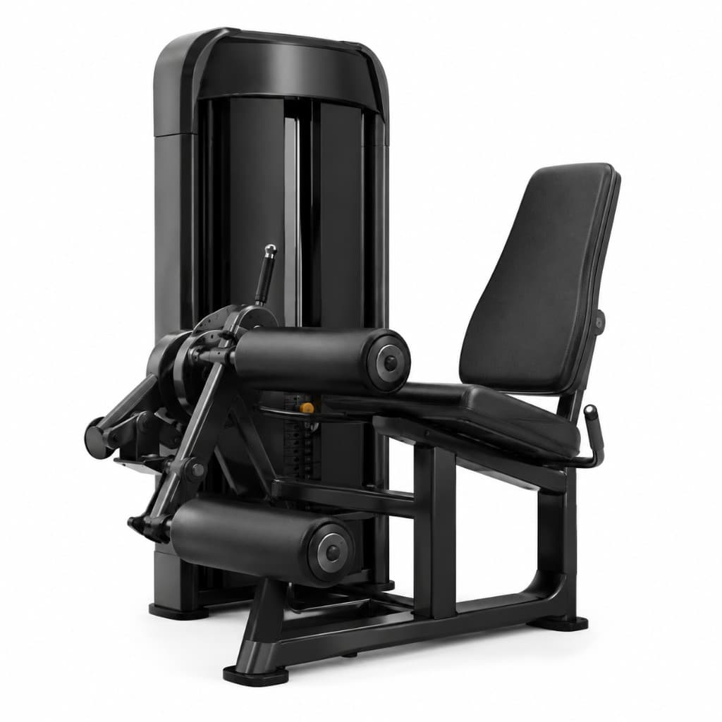 Seated Leg Curl